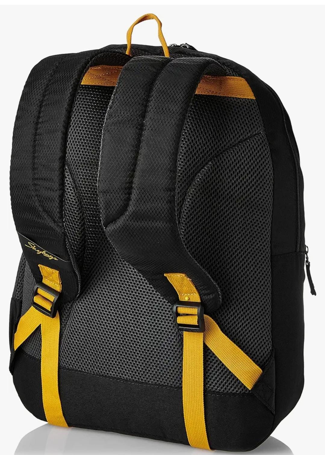Skybags Casual Backpack 28L, 2 Main Compartments, Bottle Pocket, Front Pocket, Padded Shoulder Strap